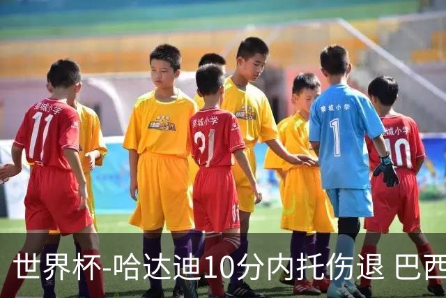 世界杯-哈达迪10分内托伤退 巴西大胜伊朗41分