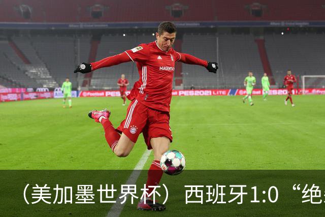（美加墨世界杯）西班牙1:0“绝杀”葡萄牙 C罗结束世界杯征程