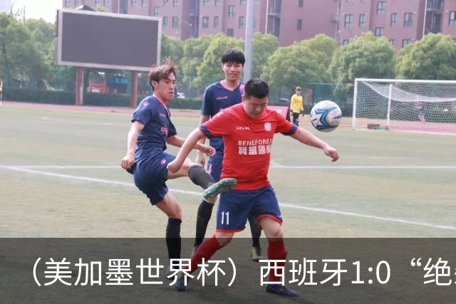 （美加墨世界杯）西班牙1:0“绝杀”葡萄牙 C罗结束世界杯征程